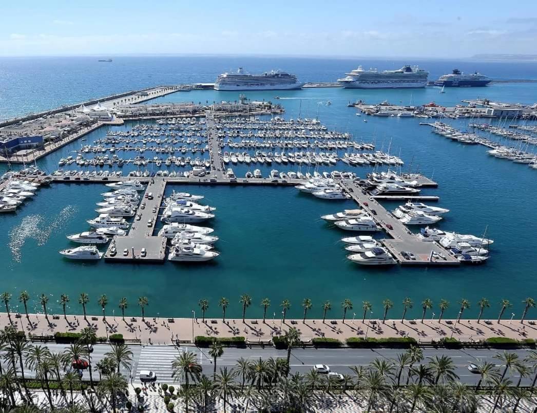 Charming Apartment In Alicante Near The Sea & City Center Экстерьер фото